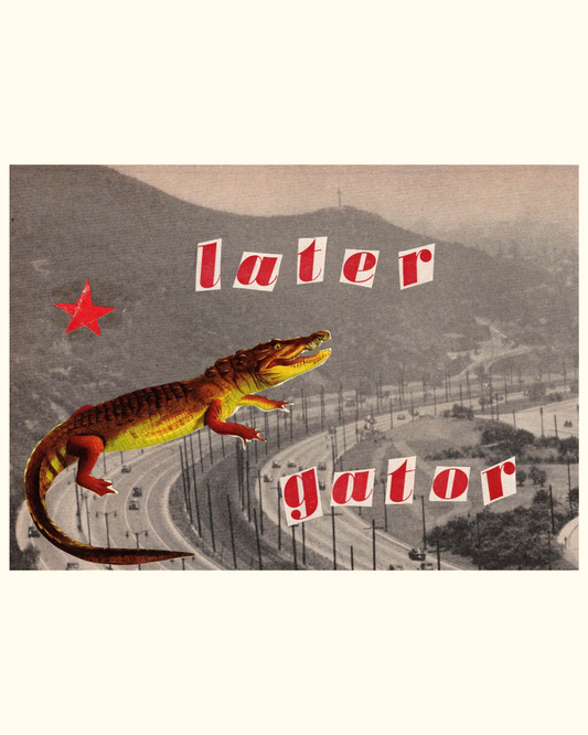 Later Gator