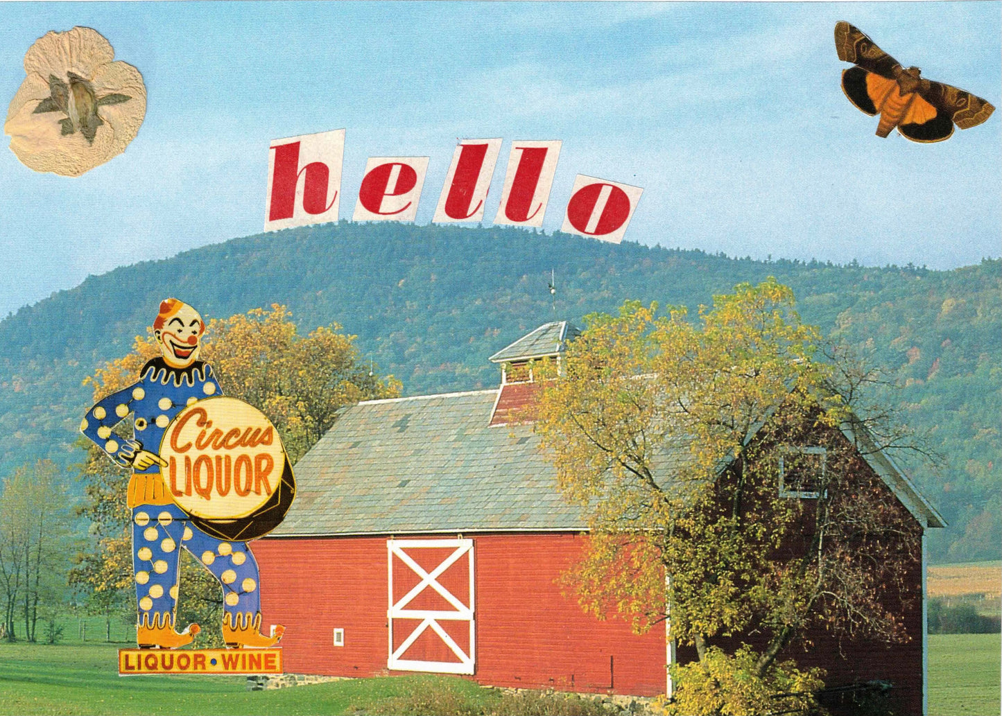 Hello