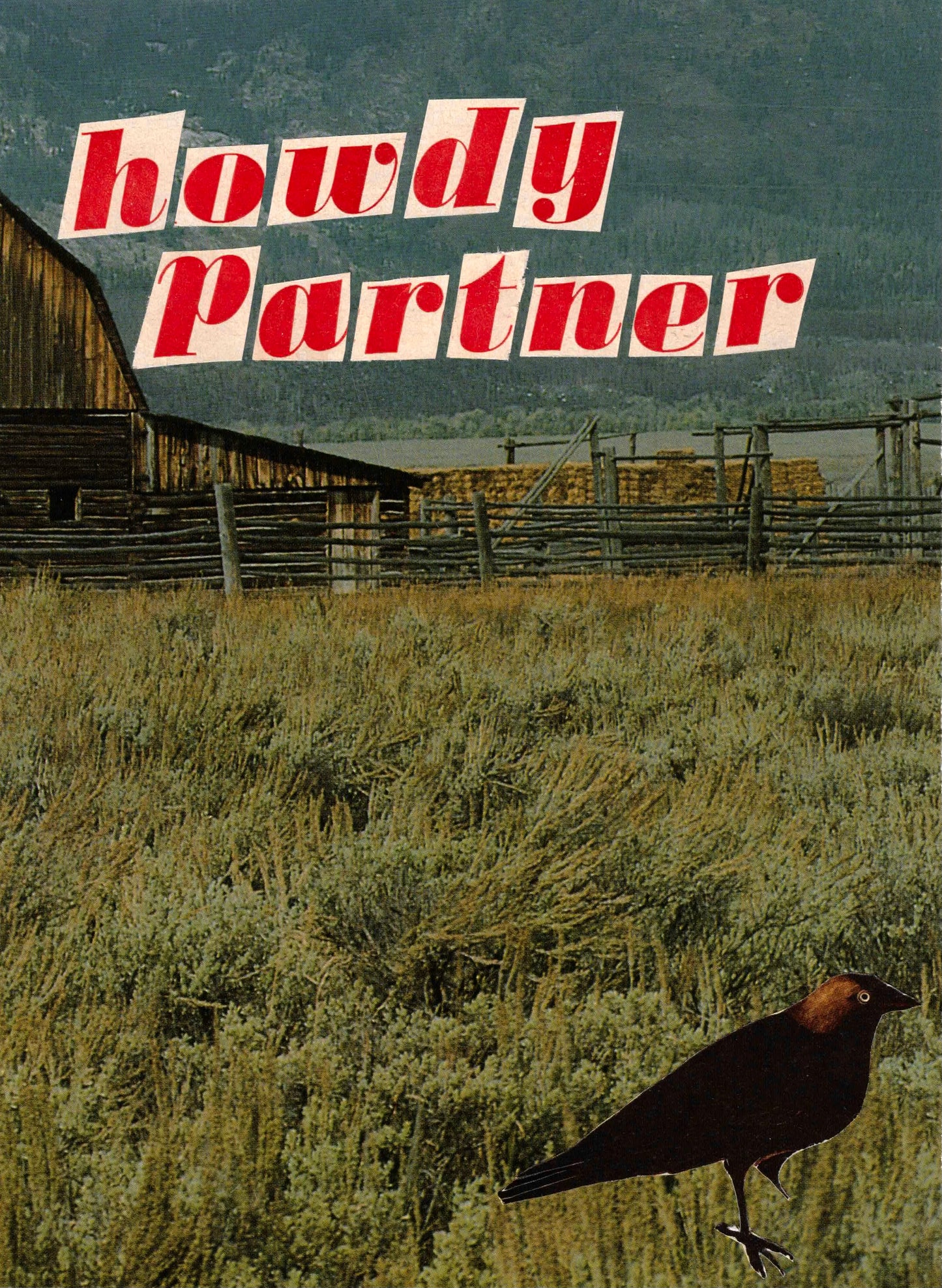 Howdy Partner 2