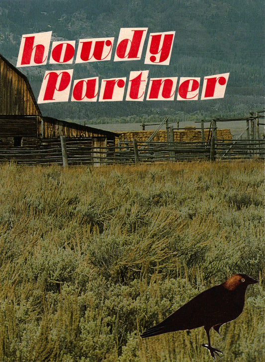 Howdy Partner 2