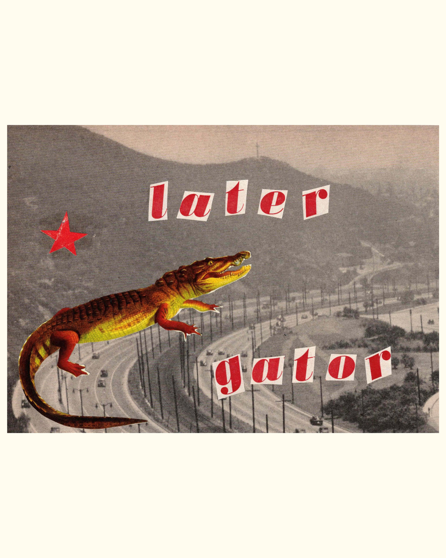 Later Gator