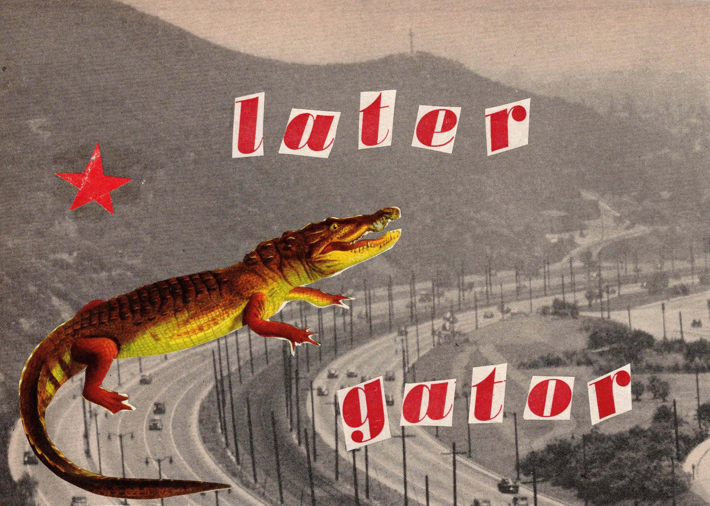 Later Gator