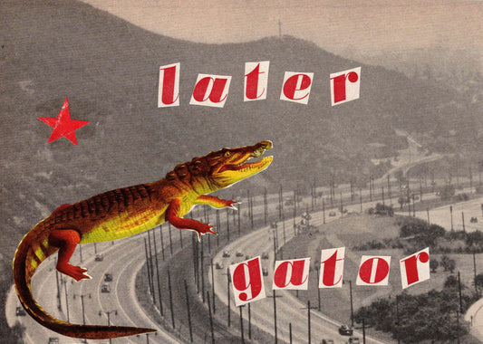Later Gator