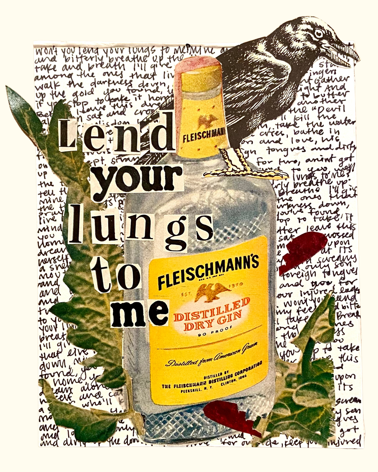 Lungs